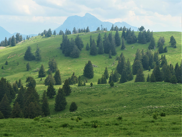 Balade en montagne