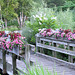 Flowered Bridge