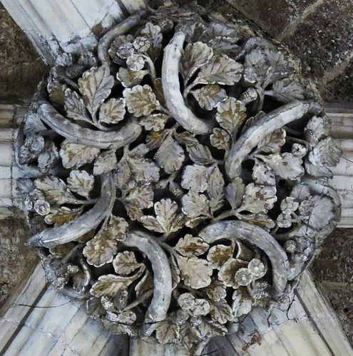 exeter cathedral, devon