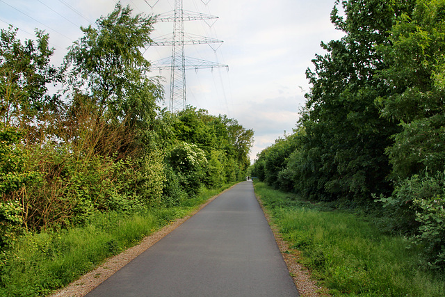 Radweg auf der ehem. Erzbahn (Wanne-Eickel) / 21.05.2018