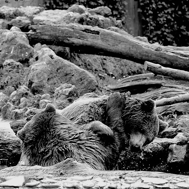 Tierpark Straubing