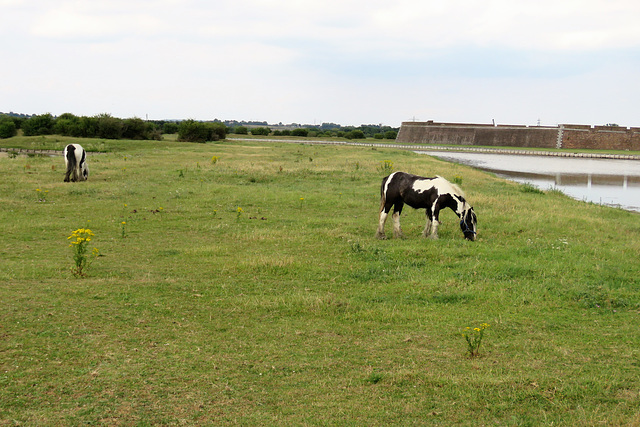 tilbury fort, essex (50)