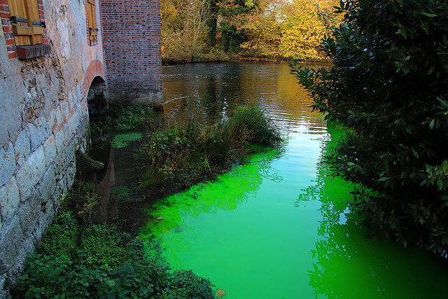 Je suis vert de rage en découvrant cette pollution , dont je ne connais pas l'origine ----  Boro m'informe que c'est sans doute de la Fluorescéine , donc sans risque ( merci ). .