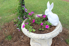 HAPPY EASTER..... The Bunny loved the Petunias.  :))
