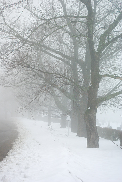 Poly-chrome monochrome 7