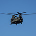 Chinook - low level flypast