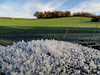 Frosty Fence Post