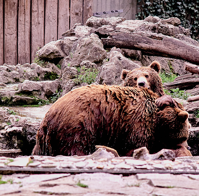 Tierpark Straubing