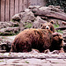 Tierpark Straubing