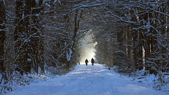 Enjoying the snow walk ¤ Heerlen ¤ Brunssum ¤ NL