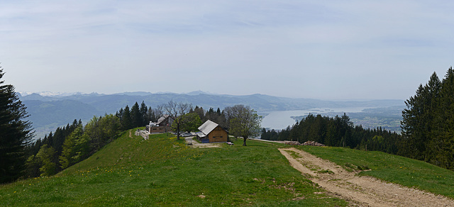 Alp Egg mit Blick auf den Obersee und Zürichsee