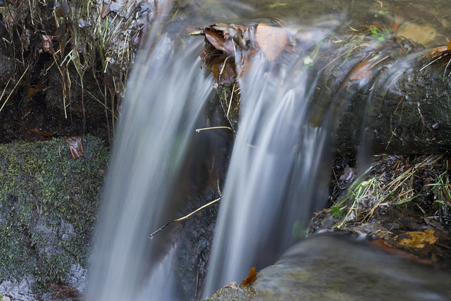 Upper Limb Brook cascade