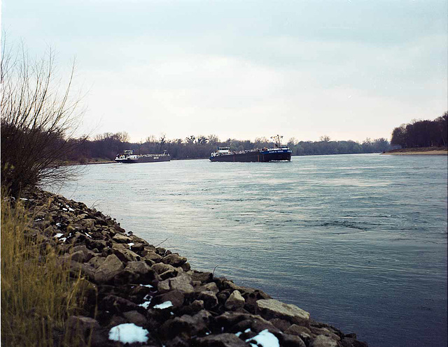 Am Rhein