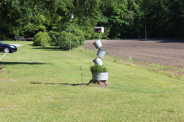 A really unusual  planter....pretty neat !!!