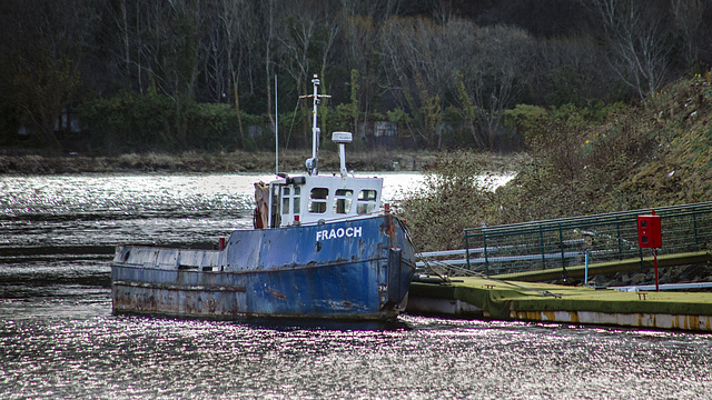 'Fraoch' (Scots Gaelic for 'Heather')