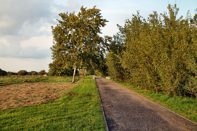 Weg im Consol-Park (Gelsenkirchen-Bismarck) / 30.09.2023