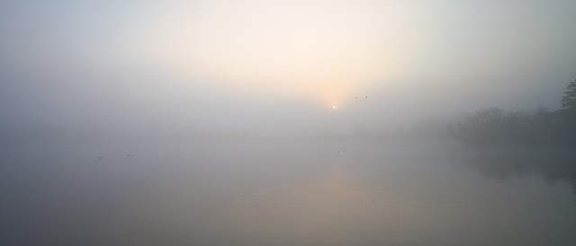 sunrise amid fog