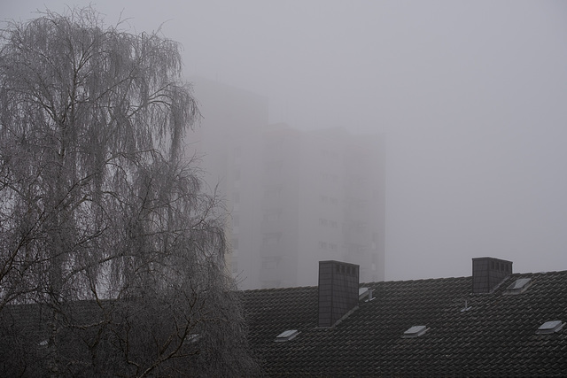 Warum Nebel?