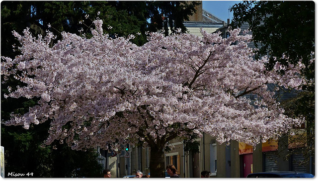 ANGERS