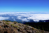 La Palma, view from Pico de la Nieve (2.238 mt) ¦