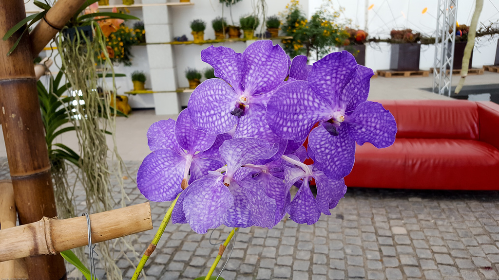 Landesgartenschau 2016