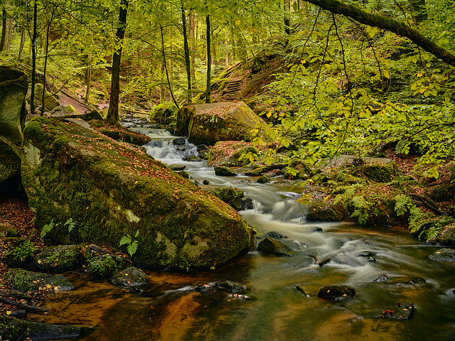 herbstlicher Bach | courant d'automne | autumnal stream