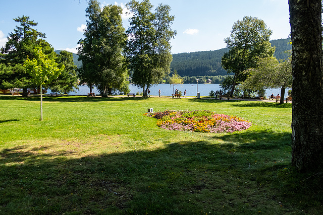 Titisee-0006