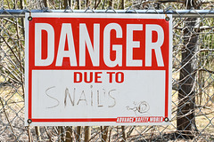 Dangerous Snails Upper Don trails DSC 2041 edited