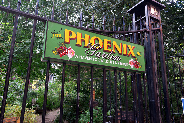 IMG 3560-001-Phoenix Garden