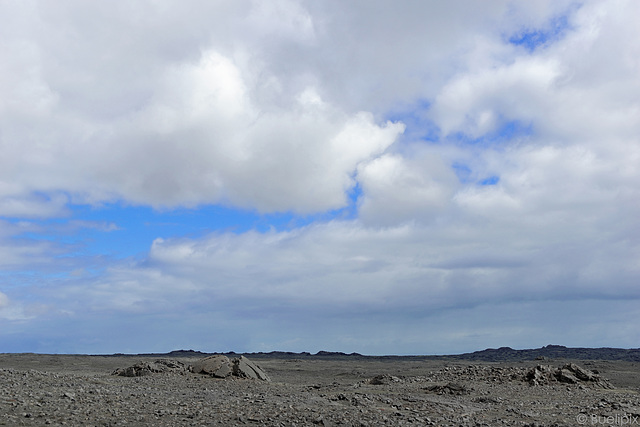 auf der Halbinsel Reykjanes (© Buelipix)