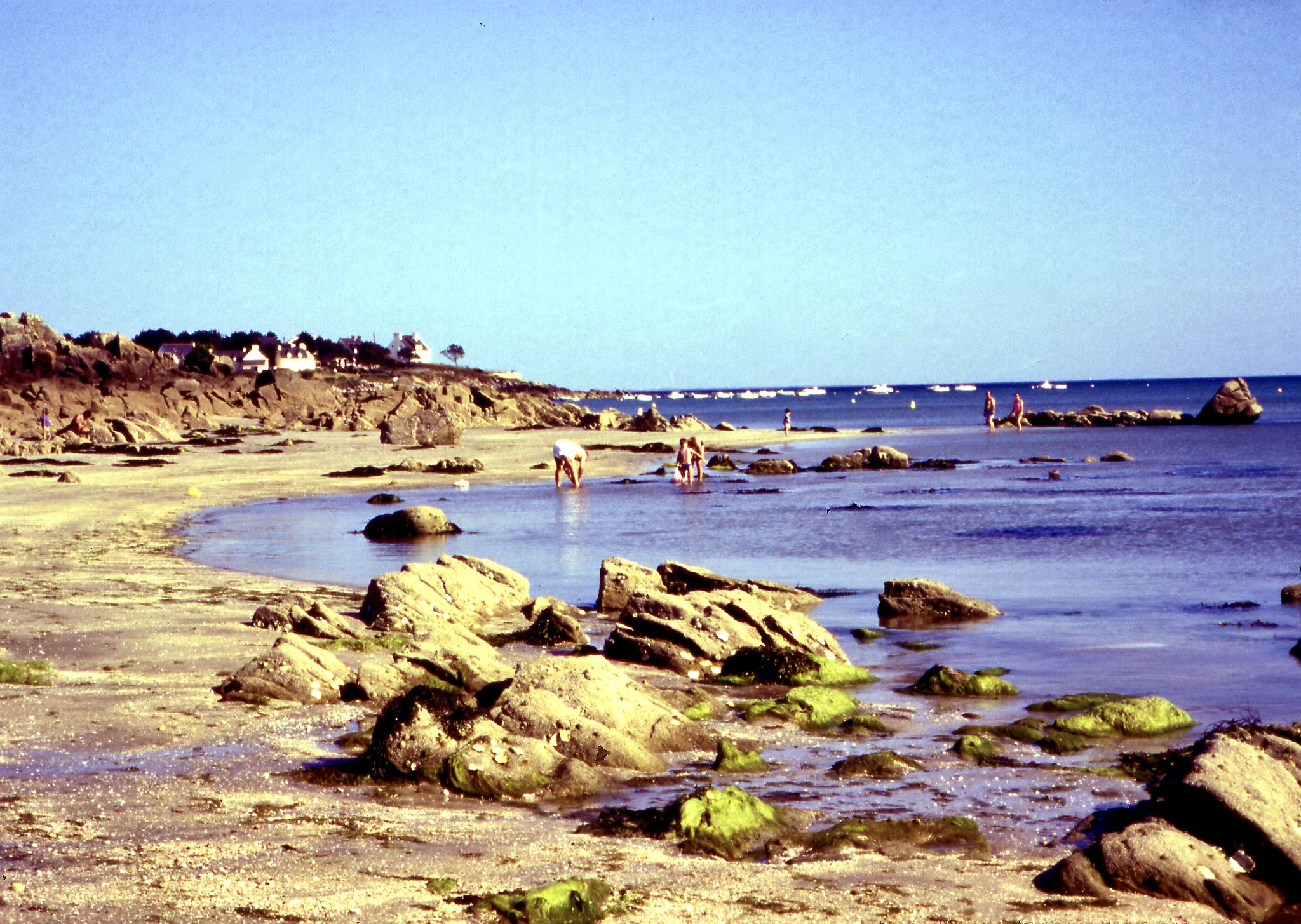 Muschelsucher am Strand