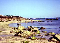 Muschelsucher am Strand