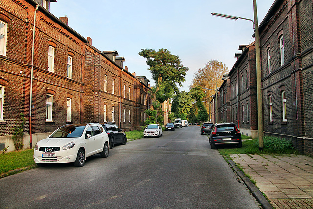 Zechensiedlung Erdbrüggenstraße (Gelsenkirchen-Bismarck) / 30.09.2023