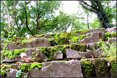 Moss Stairs  --(Marcus Stairs)