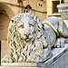 Genova 2025 – Cattedrale di San Lorenzo – Lion