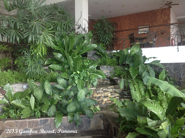 63 Gamboa Resort Interior Garden Waterfalls