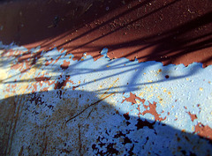 Land and sea 1