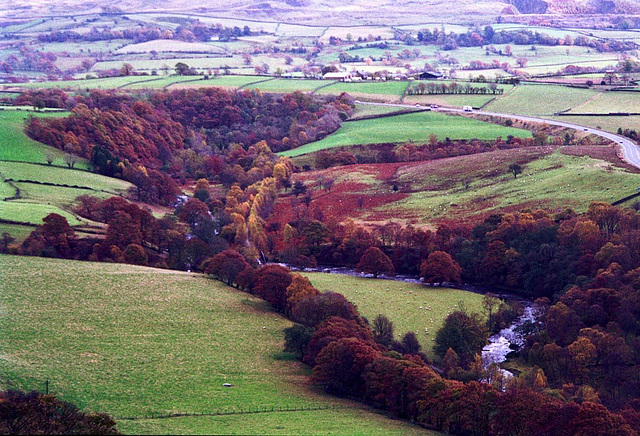 Autumn colours looking westward from near Brunholme Wood along the River Greta (Scan from Oct 1994)