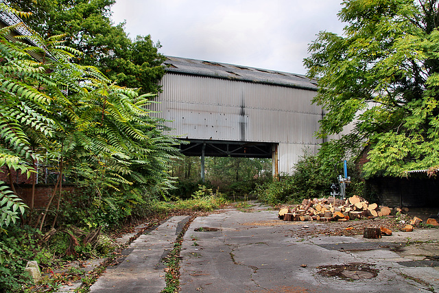 Verwildete Güterhalle mit Bahngleis (Duisburg-Homberg) / 3.10.2022