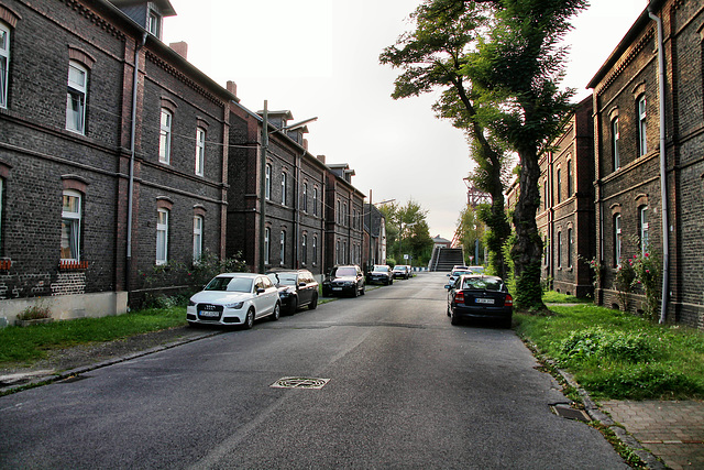 Zechensiedlung Erdbrüggenstraße (Gelsenkirchen-Bismarck) / 30.09.2023