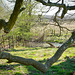 A  ''Happy fence Friday''   ..   ('◡')  ..    to all - from >  Dj...