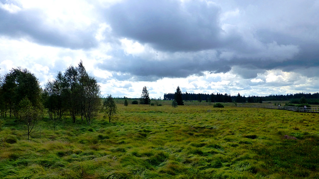 BE - Jalhay - Fagnes de Polleur