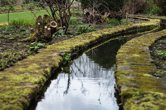 Wet Afternoon in March-Rivulet