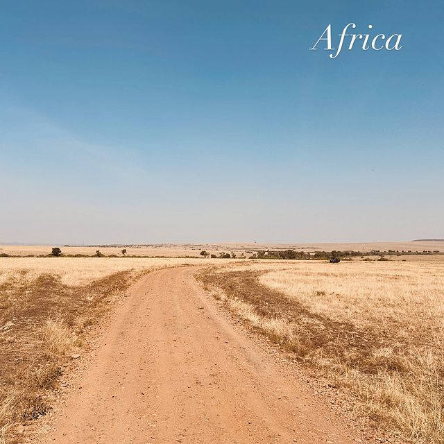 On the road in AFRICA.