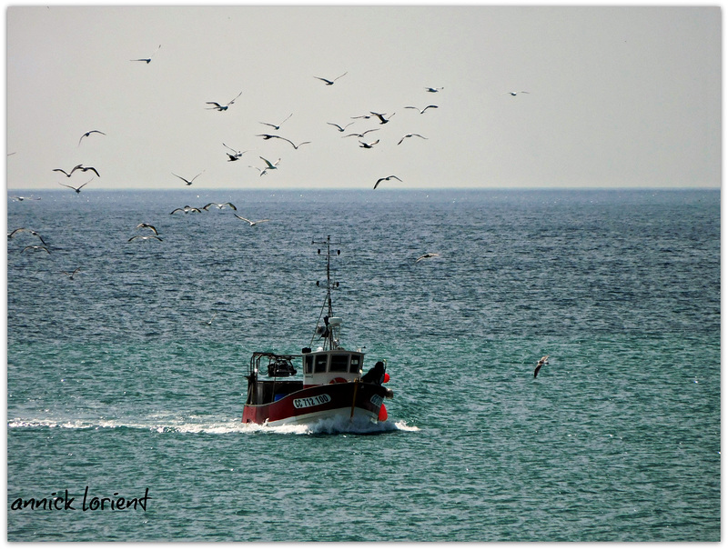 retour de pêche