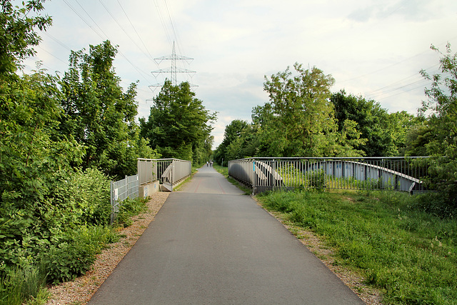 Erzbahntrasse, Brücke Nr. 14 (Wanne-Eickel) / 21.05.2018