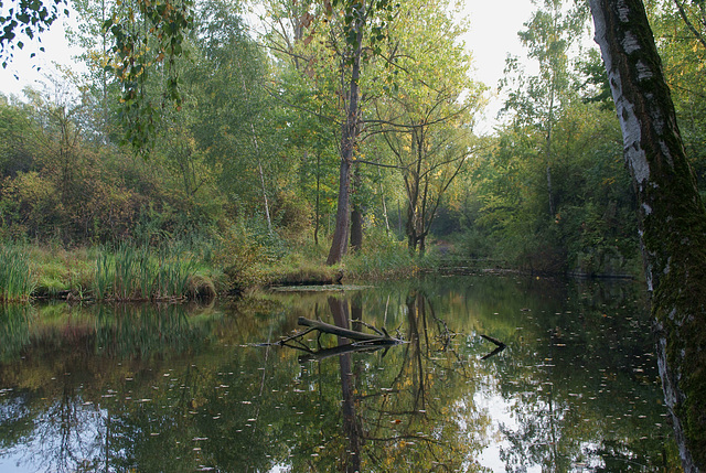 Steinbruchsee Nordhusen