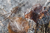 2022-02-13 11'58'07 E-M5 0888