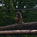 Tiergarten Nürnberg
