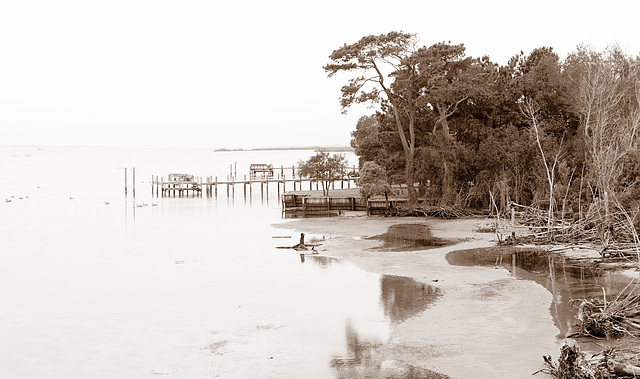 Currituck Sound, low "tide"